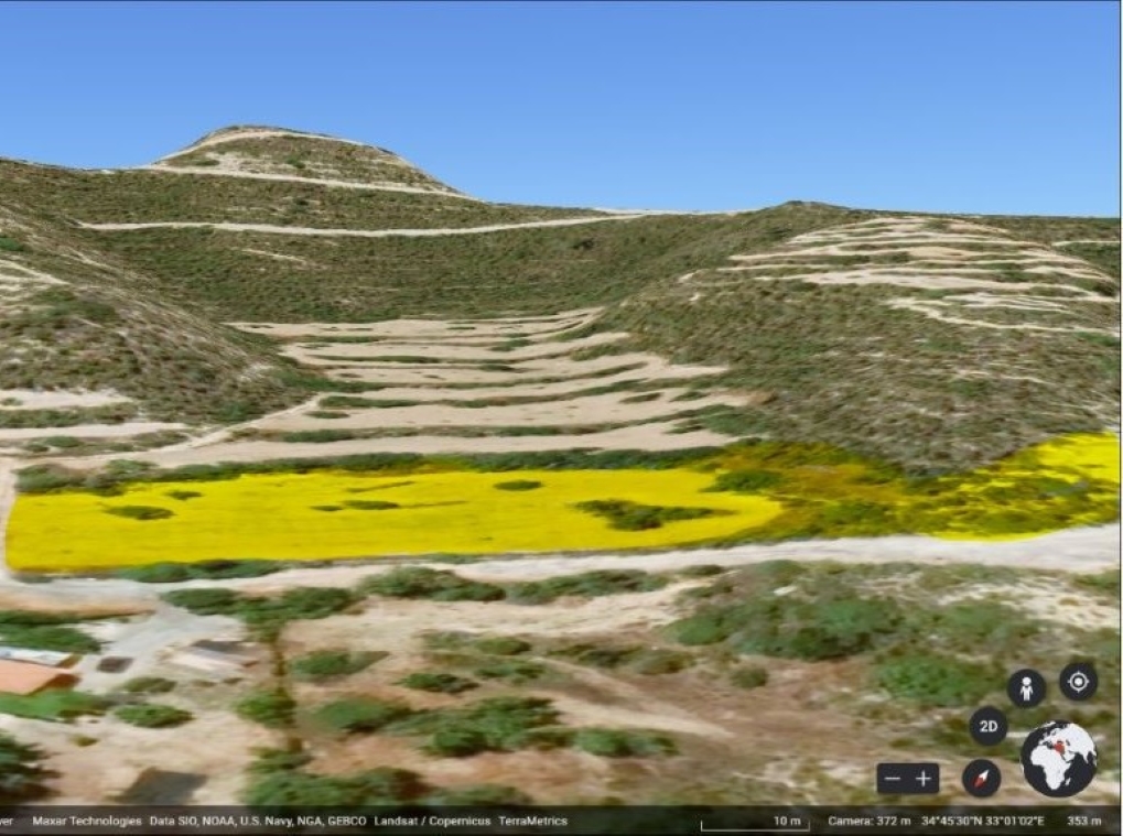 fasoula-field-pic